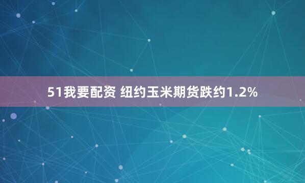 51我要配资 纽约玉米期货跌约1.2%